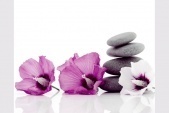 Картины и репродукции Репродукция 40x50 см Fusia Flower