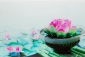 Картины и репродукции Lotus