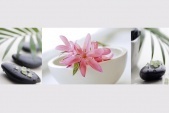 Картины и репродукции Репродукция 90х30 см Pink Flower In White Bowl