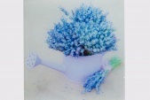 Картины и репродукции Lavender