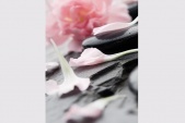 Картины и репродукции Репродукция 30х40 см Pink Flowers & Grey Stones