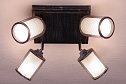Светильник настенно-потолочный CITILUX Робин 11 м², E14
