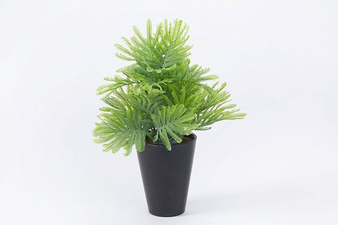 Изображение товара Искусственное растение Туя высота 25 см