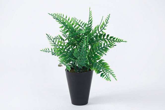 Изображение товара Искусственное растение Папоротник 25 см - эффектный декор для интерьера
