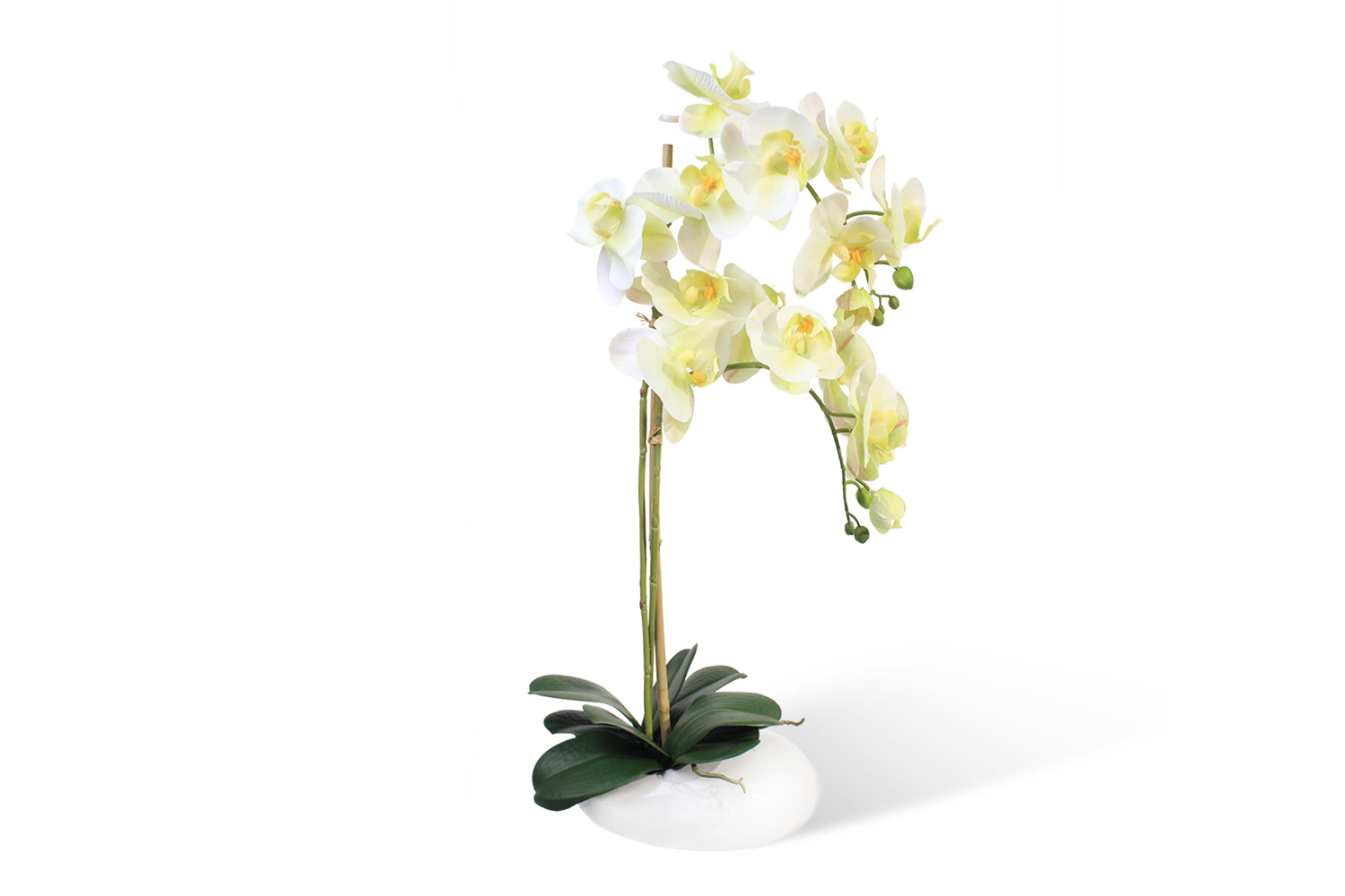 фото Искусственное растение в кашпо камень орхидея фаленопсис hoff