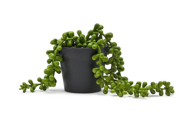 Изображение товара Искусственное растение Листья фасоли 7х8 см