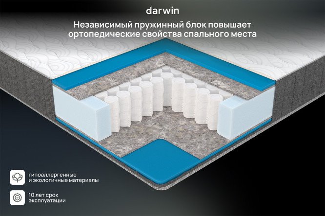 Матрас анатомический DARWIN Basic 200х200 см