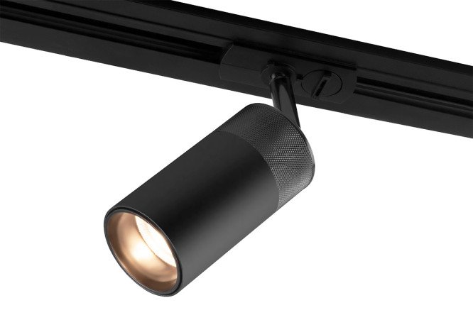 Изображение товара Светильник потолочный ELEKTROSTANDARD Riffe - современное освещение