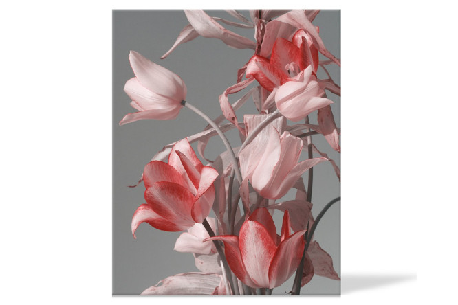 Изображение товара Канвас Idea 40х50 см