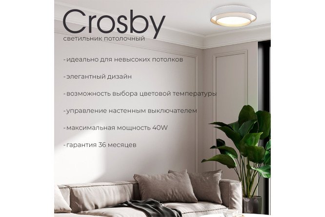 Светильник потолочный EVOLUCE Crosby