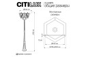 Светильник уличный CITILUX Forts 40 Вт, E27
