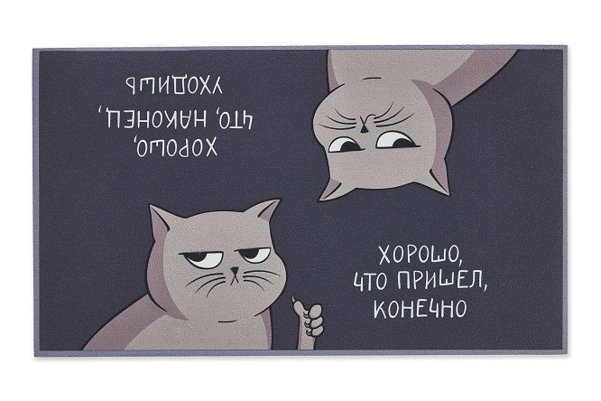 Коврик придверный HOFF Murmur 40х70 см
