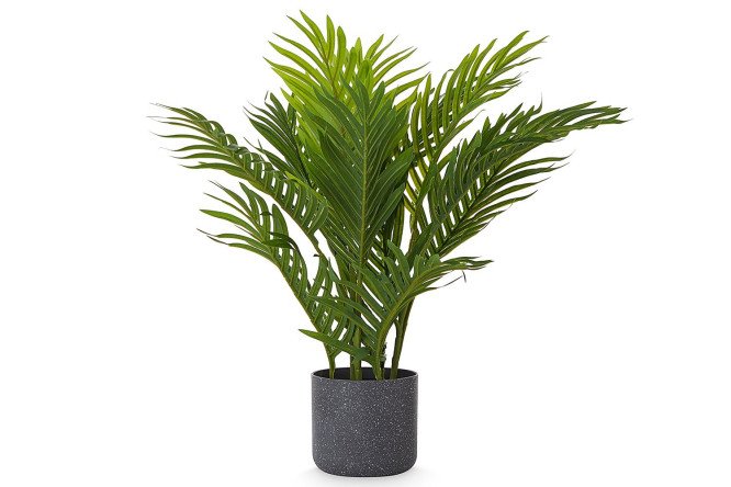 Изображение товара Искусственное растение Пальма в пластмассовом кашпо