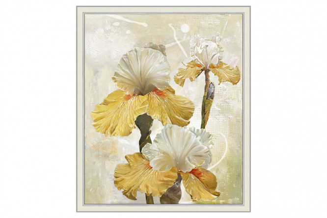 Изображение товара Репродукция в раме Романтические ирисы 47х57 см