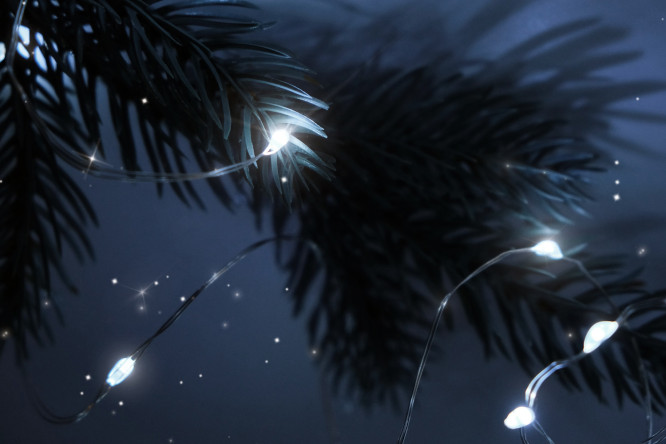 Изображение товара Комплект электрогирлянд ФАZА DC-G05-20WS 2 2 м