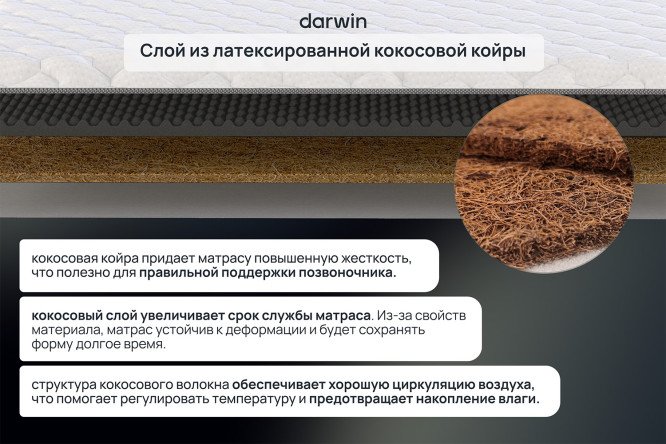 Матрас-топпер анатомический DARWIN Eco Ultra 80х190 см