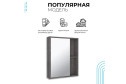Шкаф зеркальный навесной RUNO Эко 00-00001324 52х65х12 см, Универсальный