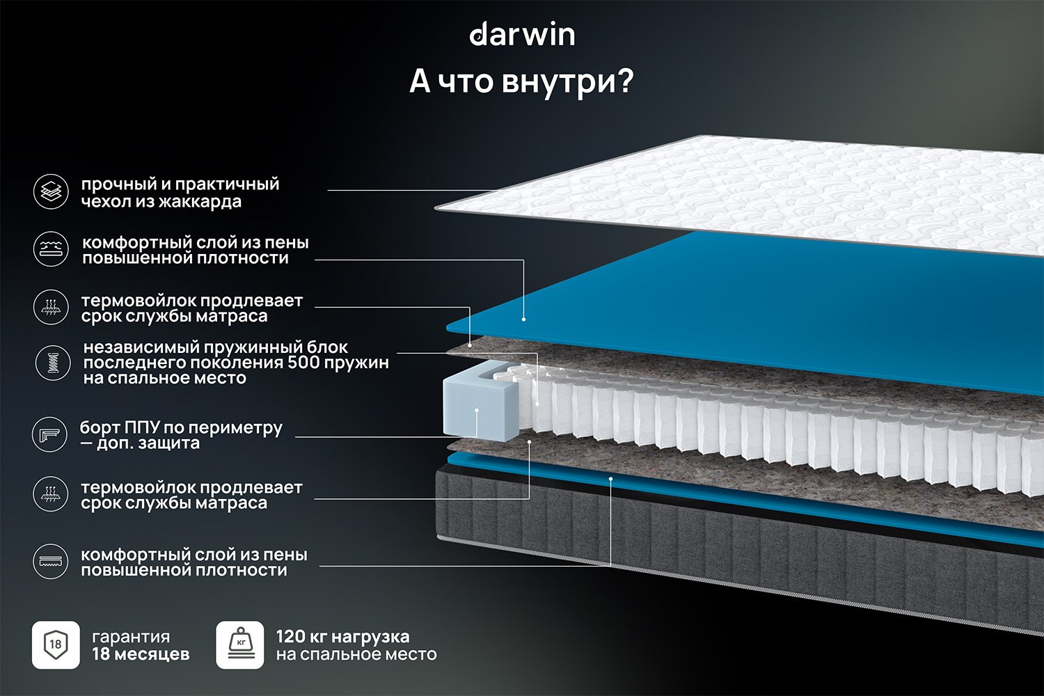 Матрас анатомический DARWIN Basic 80х200 см