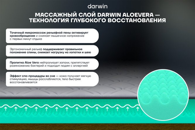 Матрас анатомический DARWIN Senses 80х190 см