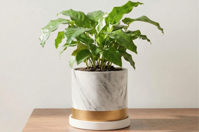 Горшок с блюдцем Mandarin decor Альба 16х16 см