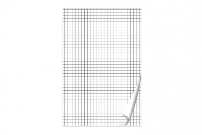 Изображение товара Блокнот для флипчарта BRAUBERG Клетка 67,5х98 см