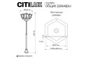 Светильник уличный CITILUX Forts 40 Вт, E27
