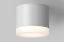 Светильник потолочный Ceiling & Wall Pauline 8.2x7x8.2 см, GX53