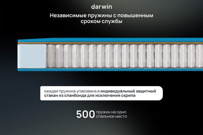 Матрас анатомический DARWIN Basic hard 200х200 см