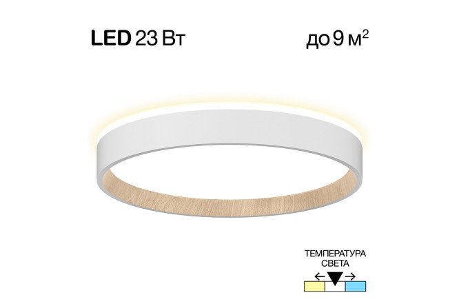 Изображение товара Светильник настенно-потолочный CITILUX Etalon