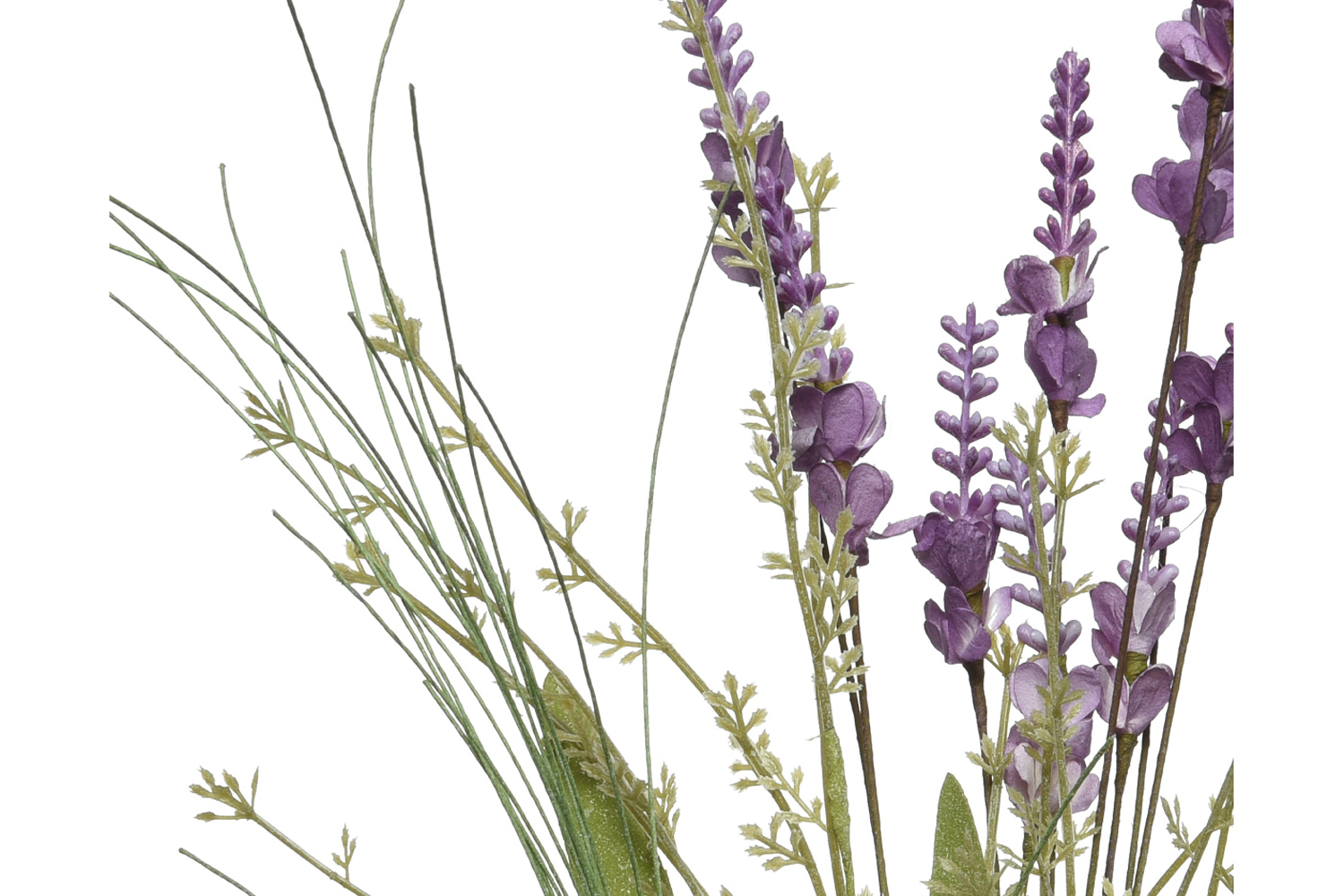 Лаванда Цветы Купить В Спб