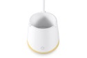 Светильник настольный LED AMBRELLA LIGHT Desk DE564 LED, 12.8x35x10.5 см