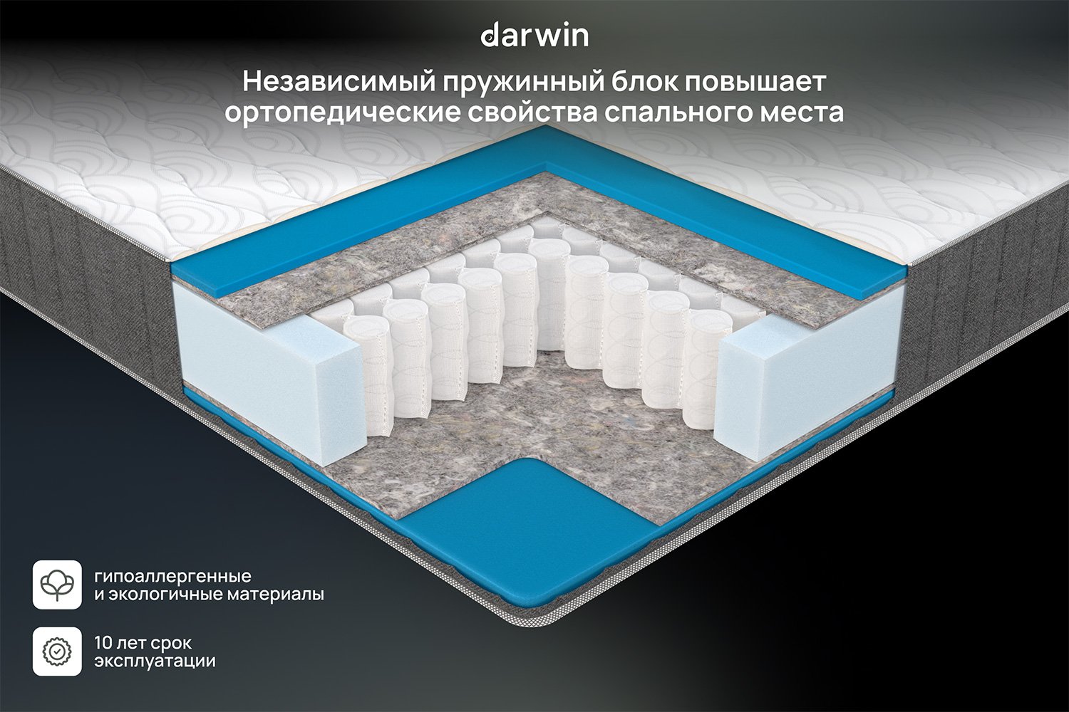 Матрас анатомический DARWIN Basic 80х200 см