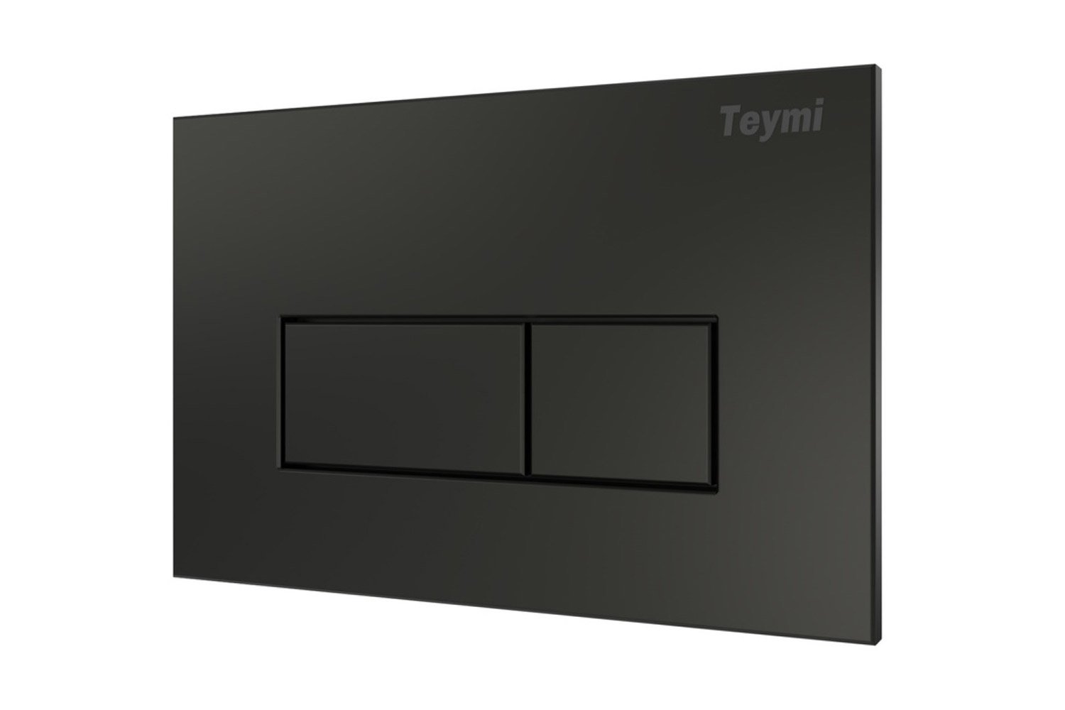 Клавиша с двойным смывом TEYMI Helmi T70203BM для инсталляции