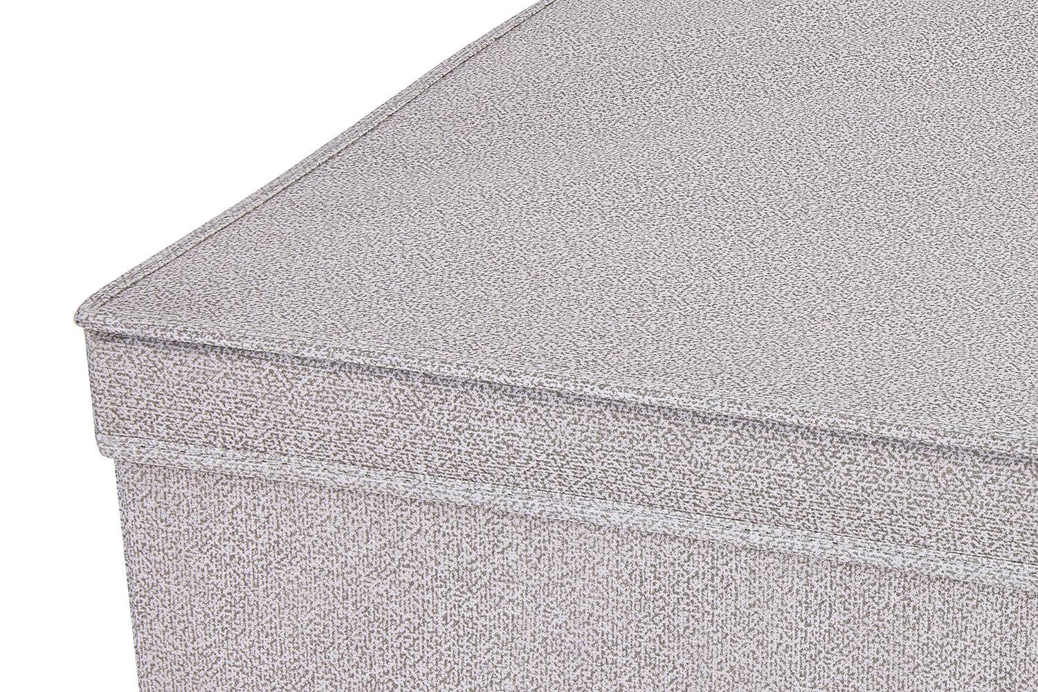 Кофр с крышкой MITTE Basic для хранения вещей 70x22x55 см