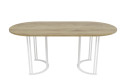 Стол GENGLASS Violur 180х75х90 см