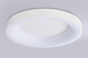 Светильник потолочный AMBRELLA LIGHT Orbital 24 кв.м., 50x5x50 см, LED