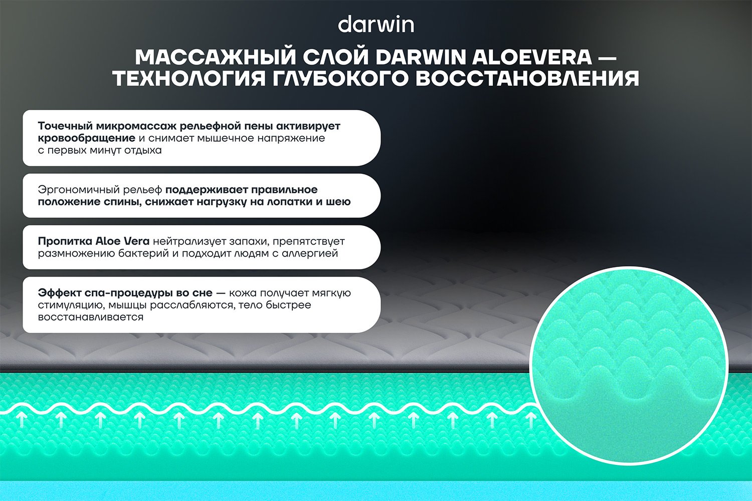 Матрас анатомический DARWIN Comfy 80х190 см