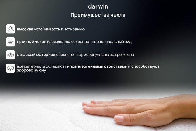 Матрас анатомический DARWIN Basic hard 200х200 см