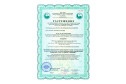 Матрас MR. MATTRESS Smile Funny XL 70х160 см