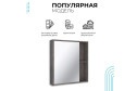 Шкаф зеркальный навесной RUNO Эко 60 00-00001325 60х65х12 см, Универсальный