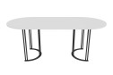 Стол GENGLASS Violur 200х75х90 см