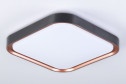 Светильник потолочный AMBRELLA LIGHT Orbital 16 кв.м., 35x6x35 см, LED