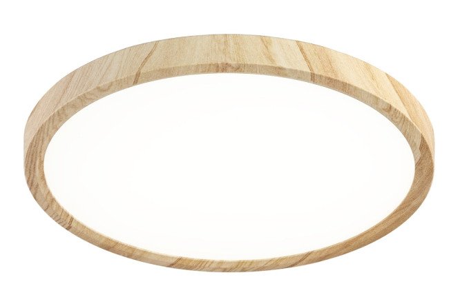 Светильник накладной LED CITILUX Бейсик 12 кв.м, 30x2.5x30 см, LED