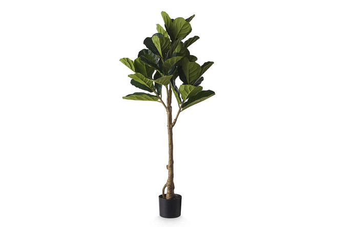 Изображение товара Искусственное растение Фикус в кашпо 51 см - идеальный декор