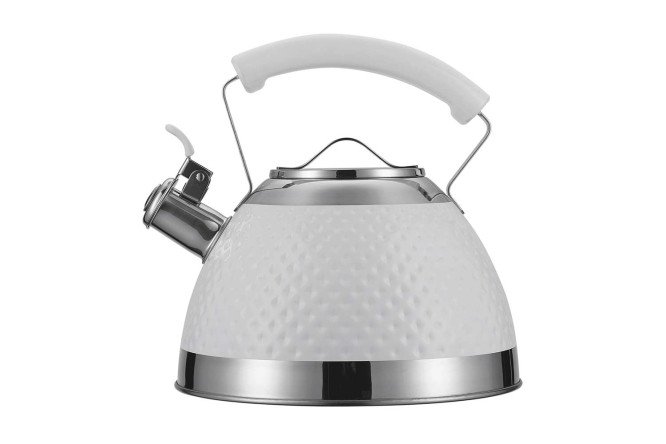 Чайник REGENT Inox Tea 78-003 со свистком 3 л
