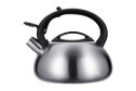 Чайник REGENT Inox Tea со свистком 3 л