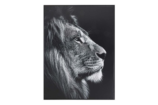 Изображение товара Канвас в раме CF-90 01 93х123 см художественный для интерьера