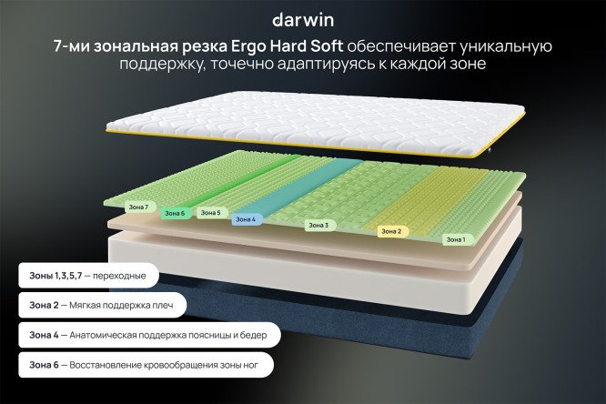 Матрас анатомический DARWIN Zone foam 200х200 см