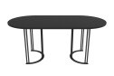 Стол GENGLASS Violur 180х75х90 см