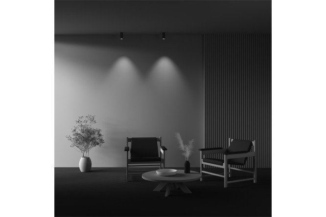 Светильник потолочный LED MAYTONI Ceiling & Wall Focus 5.2x12.5x5.2 см, LED